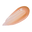 PPL107 Spice