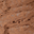 BEP104 Shimmery Brown