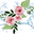 PS101 Rose