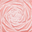 YGG112 Crimson Gleam